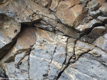Gneiss recoupé par des petits filons de granodiorite
