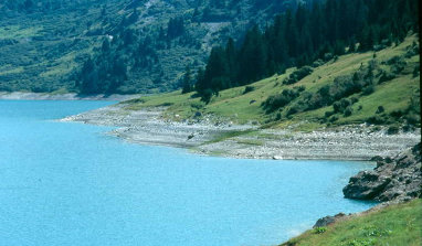 Lignes de rivages observées au bord d'un lac de barrage EDF de Roseland (Beaufortin) en période de basses eaux