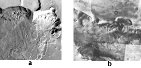 Glissement de terrain dans le Ganges Chasma (Valles Marineris), vue oblique et vue verticale