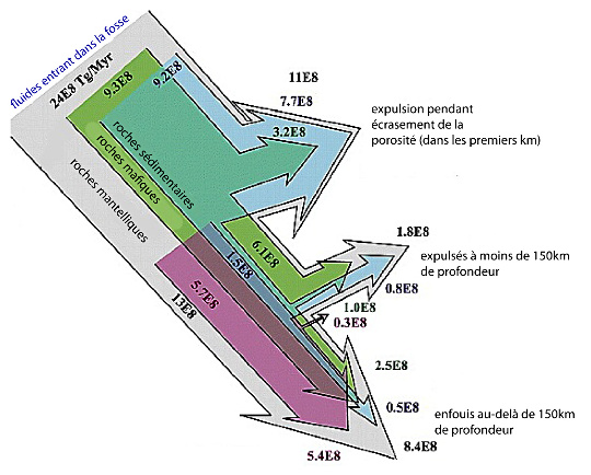 Schéma bilan “classique”,  datant de 2008, présentant les quantités de fluides redistribuées dans les zones de subduction mondiales par an (en Tg/Ma)
