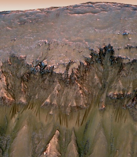 Vue estivale d'un flanc du cratère Newton (41,6 ° lat. Sud, 202,3 long.), Mars