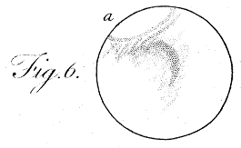Dessin d'observation de la calotte polaire saisonnière Sud de Mars par William Herschel en 1784