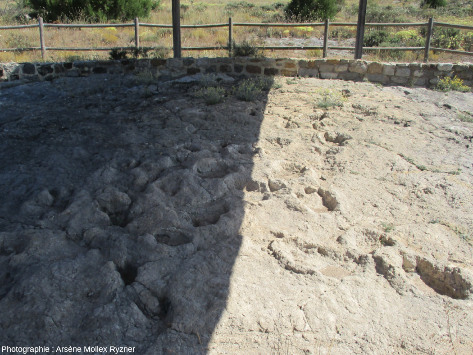 Pistes et empreintes de dinosaures, site de Las Sereas 7, Quintanilla de las Viñas (Province de Burgos)