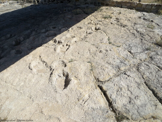 Vue sur une piste de sauropode et empreintes de dinosaures en arrière plan, Las Sereas 7