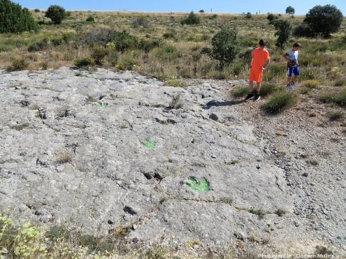 Interprétation de la piste de dinosaure tridactyle de la figure précédente