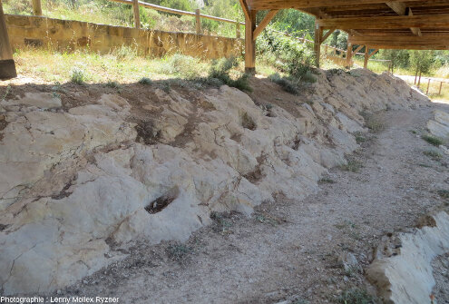 Affleurement à empreintes de dinosaure de La Pedraja (Mambrillas de Lara)