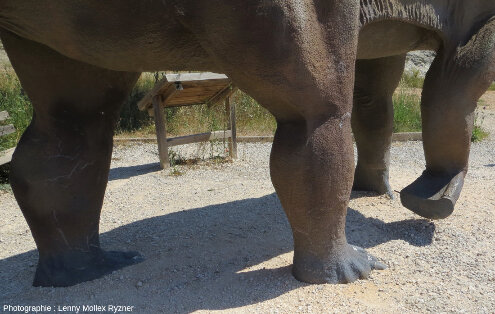 Vue sur les pattes de la statue de sauropode de La Pedraja