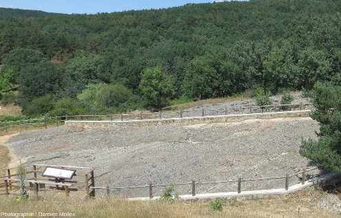 Vue globale du site El Frontal I, Crétacé inférieur, Regumiel de la Sierra (Province de Burgos)