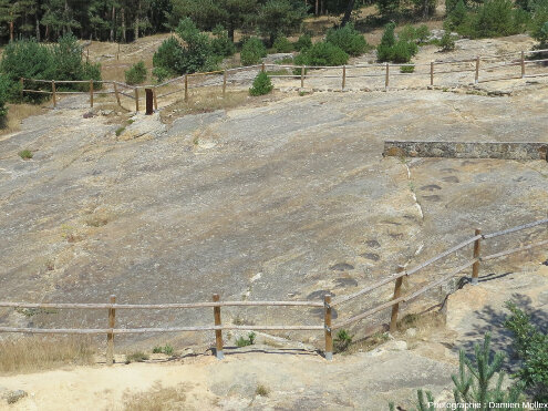 Vue sur deux pistes de deux gros ornithopodes, El Frontal II, Regumiel de la Sierra