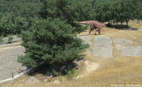 Statue d’iguanodontidé de taille comparable aux iguanodontidés qui ont laissé leurs empreintes sur les affleurements de Regumiel de la Sierra