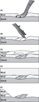 Processus de formation et de conservation d’empreintes en “relief inversé”