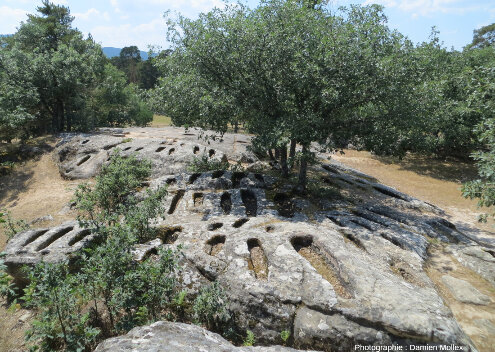 Nécropole médiévale creusée dans des grès du Crétacé inférieur de Revenga (Quintanar de la Sierra), Province de Burgos