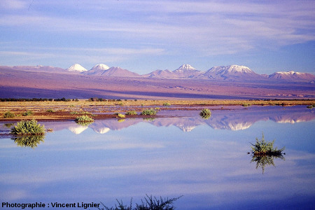 La chaîne de volcans au Sud-Est de San Pedro de Atacama, Chili