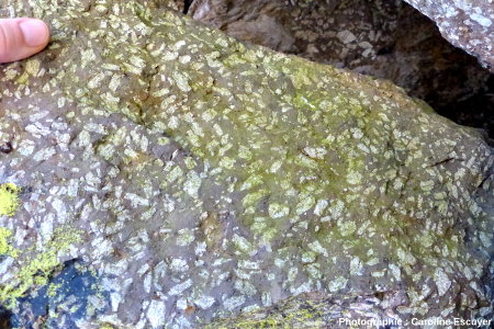 Bloc de « porphyre vert antique » au pied du Rocher du Corbeau