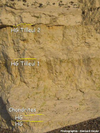 Niveau à Chondrites et hardgrounds Tilleul 1 & 2