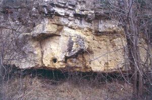 NIveau à lamines stromatolithiques