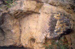 Lamines stromatolithiques entourant un "trou"