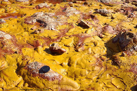 Vue de près des tapis microbiens très colorés qui recouvrent le fond du Rio Tinto (Espagne)