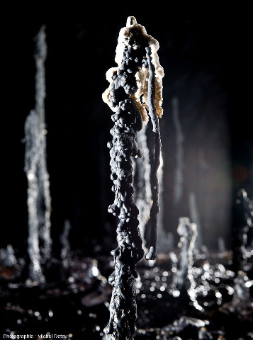 Population d'organismes chimiolithotrophes “superficiels” se développant sur les stalagmites de lave dans le tunnel de lave d'Árnahellir en Islande