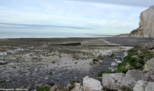 Un ancien épi à proximité de la plage d'Ault