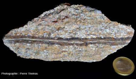 Échantillon montrant un petit filon de sidérite (Fe2O3) recoupant un granite