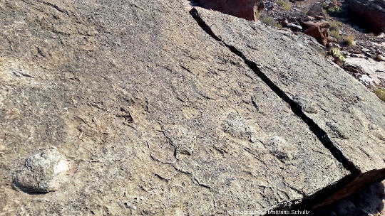 Observation in situ de la surface de la moitié supérieure du bloc éboulé de grès clair Navajo (vue en contre-plongée)