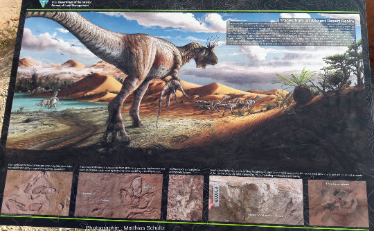 Panneau de présentation du site à empreintes de dinosaures de Potash Road, avec reconstitution du paléoenvironnement