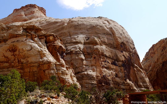 Aspect caractéristique des grès Navajo, roches claires massives constituant des falaises abruptes au niveau des canyons et s'arrondissant en dômes à leur sommet