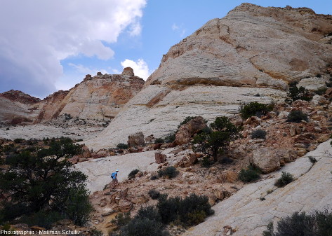Aspect caractéristique des grès Navajo, roches claires massives constituant des dômes à leur sommet