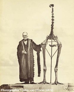 Richard Owen posant à côté du plus grand squelette de moa, Dinornis giganteus (robustus)