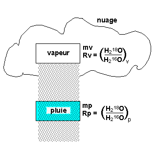 Relation entre masses d'isotopes (m) et rapports massiques isotopiques (R)
