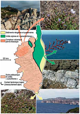 Carte schématique de la Corse géologique
