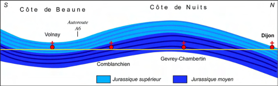 Schéma d'implantation des vignes de Bourgogne