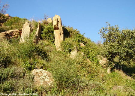Les gneiss de Bormes à proximité de la chapelle Notre Dame de Constance au-dessus de Bormes-les-Mimosas