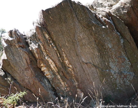 Les gneiss de Bormes au niveau du col de Caguo-Ven, commune de Bormes-les-Mimosas