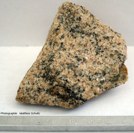 Échantillon du granite de Plan de la Tour, dans l'unité des gneiss orientaux