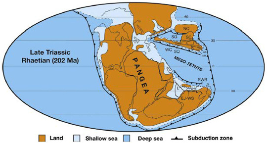 Position des continents à la fin du Trias, au début du démantèlement du supercontinent Pangée, qui sera ensuite divisé en deux continents (Laurasia et Gondwana), toujours bordés par la Panthalassa et la Téthys