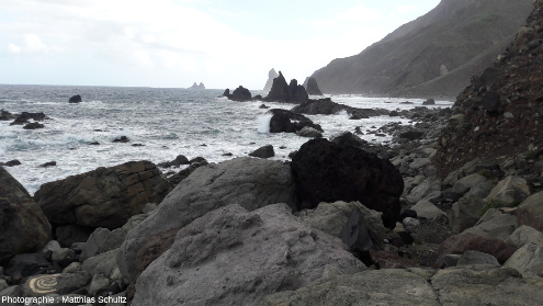 La côte basaltique austère du Nord-Est de l'ile de Tenerife (Canaries, Espagne), au pied des monts Anaga, vers Benijo, en dehors du parc du Teide