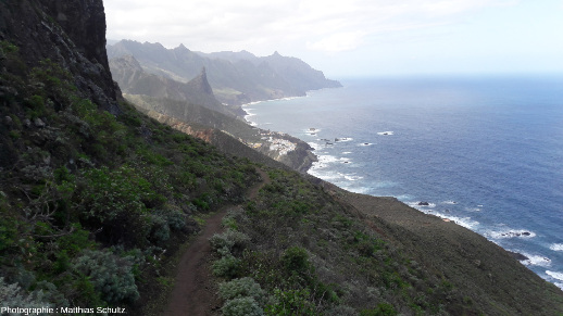 La côte basaltique austère du Nord-Est de l'ile de Tenerife (Canaries, Espagne), au pied des monts Anaga, vers Benijo, en dehors du parc du Teide