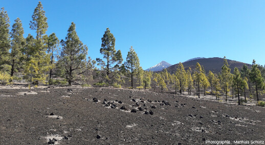 Champ de lapillis basaltiques et cône de scories monogénique (au deuxième plan à droite de l'image), datant du Pléistocène, sur le flanc Sud-Ouest de l'ile de Tenerife (Canaries, Espagne), secteur de Samara, Parc national du Teide