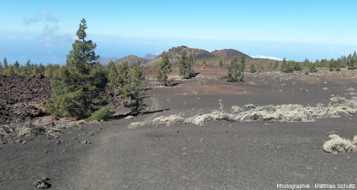 Champ de lapillis basaltiques et cônes de scories monogéniques (au second plan), datant du Pléistocène, flanc Sud-Ouest de l'ile de Tenerife (Canaries, Espagne), secteur de Samara, Parc national du Teide