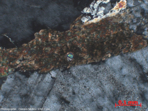 Zircons en inclusion dans une biotite du granite de Huelgoat (Finistère), LPA