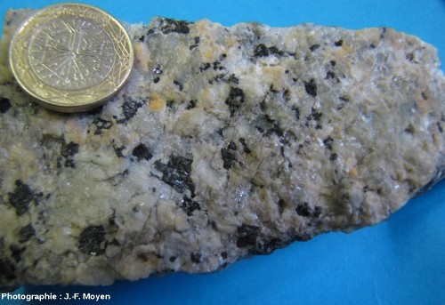 Échantillon macroscopique de granite à cordiérite (Cape Peninsula Pluton, Afrique du Sud)