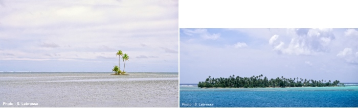 Cocotiers sur des îlots (motu en Tahitien)
