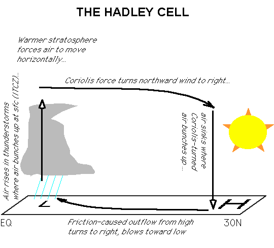 Cellule de Hadley