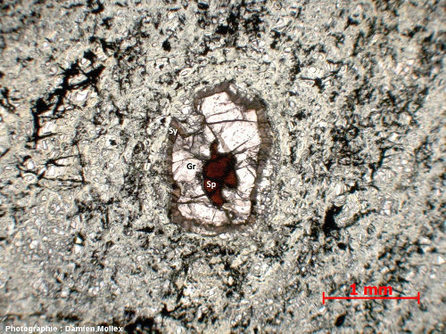 Lame mince (30 µm d'épaisseur, observée au microscope) dans une péridotite (fragment de manteau) des Monts-du-Lyonnais (Rhône) montrant une suite de réactions minérales : spinelle (Sp) → grenat (Gr) → symplectite (Sy) contenant du spinelle et sans doute déjà un peu de plagioclase