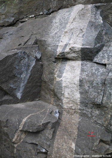 Filon de roche magmatique gris clair s'injectant dans un encaissant magmatique plus sombre et en détachant des enclaves, Mont Royal, Montréal (Québec, Canada)