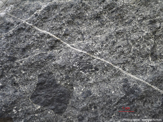 Détail d'un gabbro recoupé par des filons plus clairs et comportant des enclaves patinées, sombres, sans cristaux apparents (basalte ?), Mont Royal (Montréal)