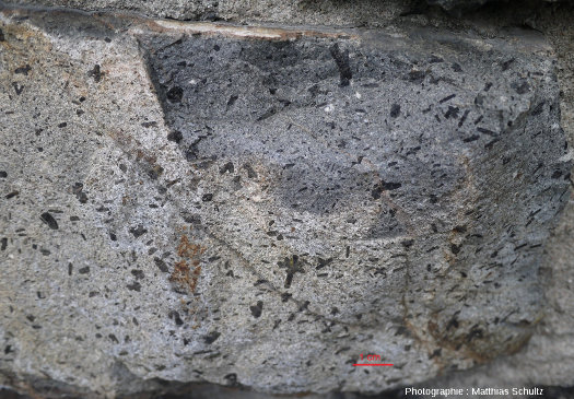 Détail de cristaux de pyroxène sombres (et amphiboles ?) et plagioclases blancs dans une diorite, Mont Royal (Montréal)