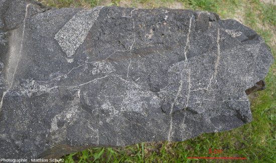Brèche formée aux dépens de plusieurs roches magmatiques : gabbros, diorites, monzonites…, Mont Royal, Montréal (Québec, Canada)